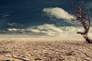 recruiting strategy and process in a candidate drought (1)