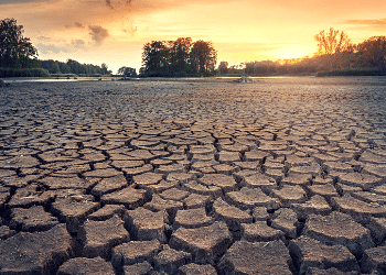 attract candidates in a drought