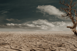 adapt recruiting efforts candidate drought