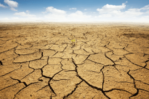 candidate drought counteroffer