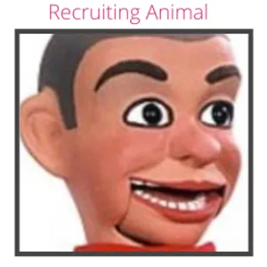 The Recruiting Animal Show